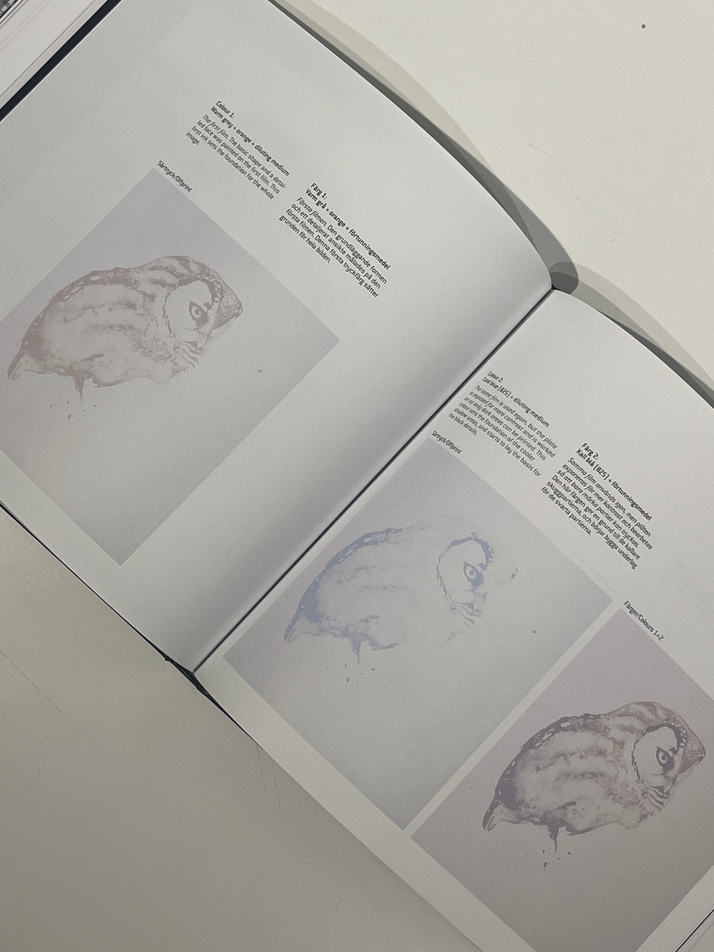 Letting intuition rule - a book about Karl Martens lithographic process