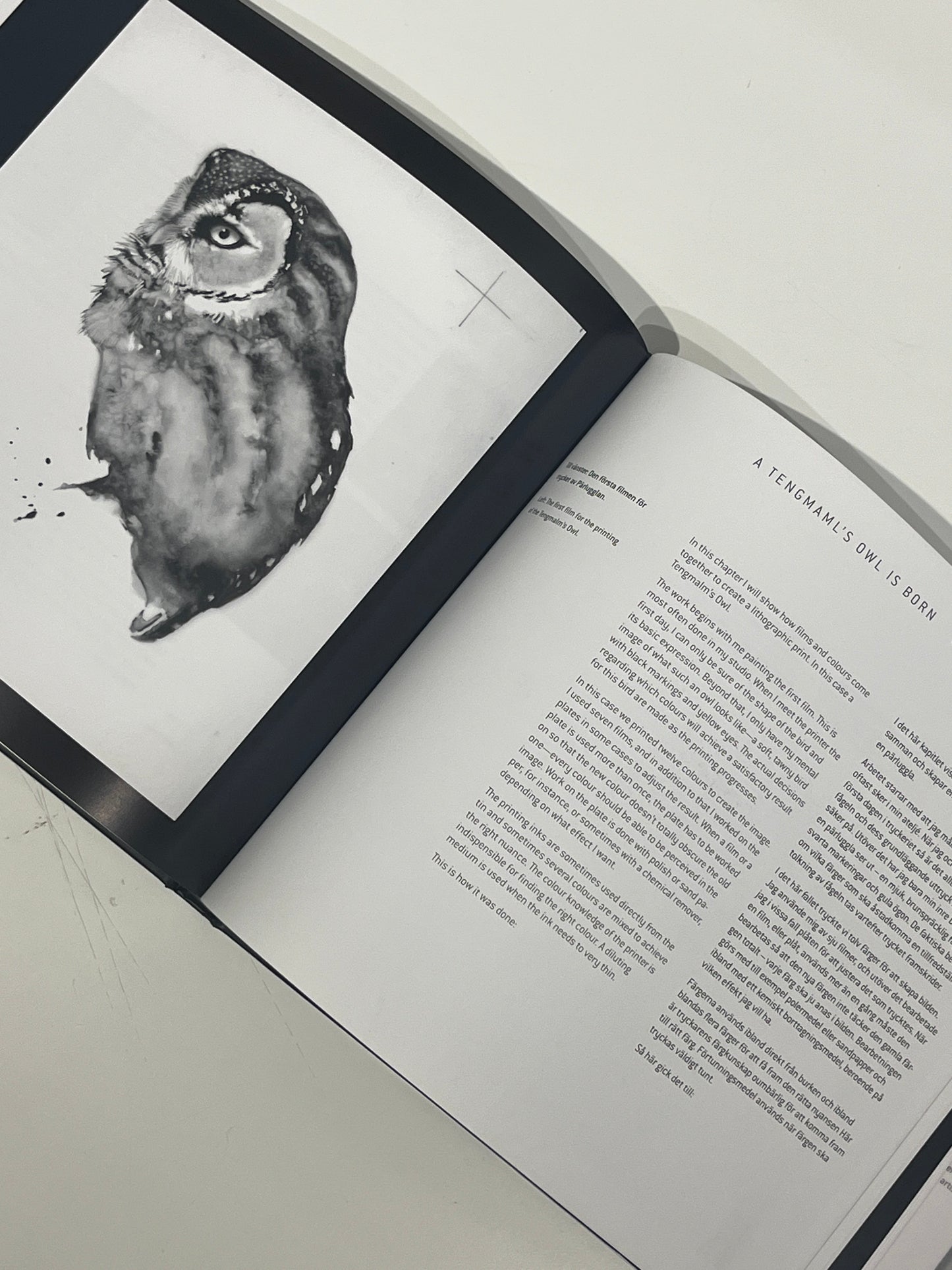 Letting intuition rule - a book about Karl Martens lithographic process