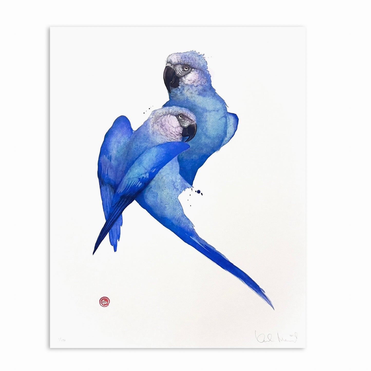 Målning av två blåa Azuraror, en fridlyst blå papegoja målad av Karl Mårtens, konstnären som specialiserar sig på att skildra fåglar och djur influerat av zen buddism och kalilgrafi