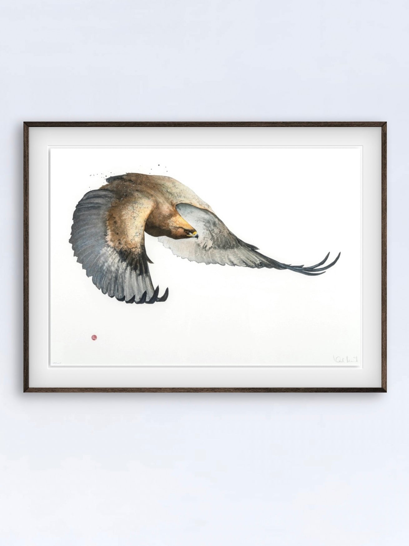 Ett unikt litografiskt tryck av en Kungsörn skapat av den välkända konstnären Karl Mårtens - Motivet är i bruna och gråa toner mot en vit bakgrund och en passande inramning med ram i mörk valnöt