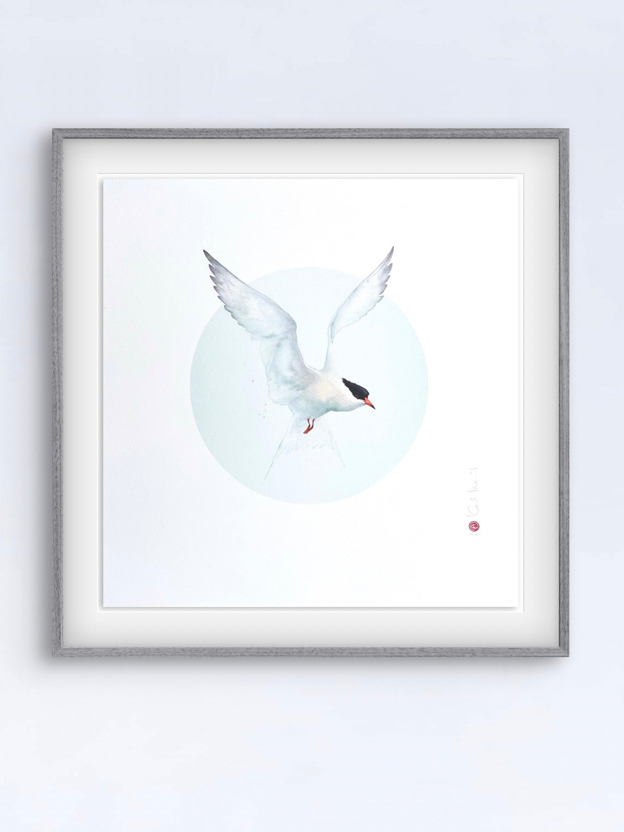 Ett unikt litografiskt tryck av en fisktärna skapat av den välkända konstnären Karl Mårtens - Motivet är i grå toner mot en vit bakgrund och en passande inramning med ljusgrå ram.