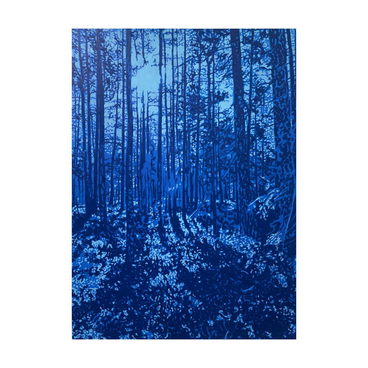 Virgin woodlands I