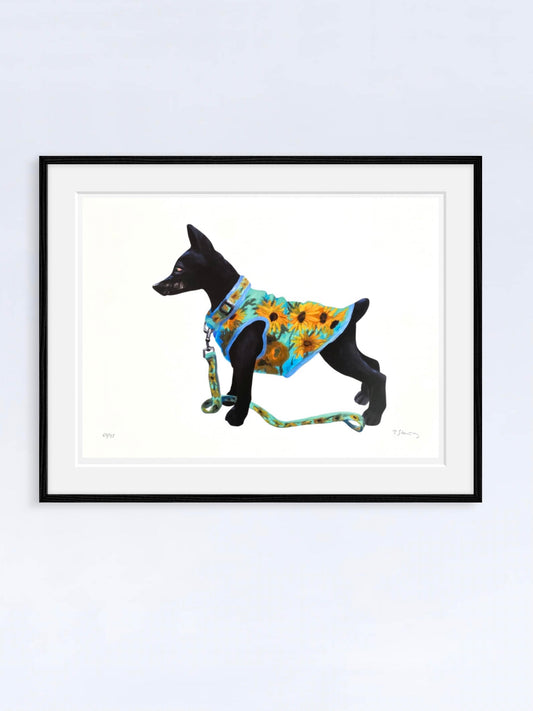 Vincents Dog II