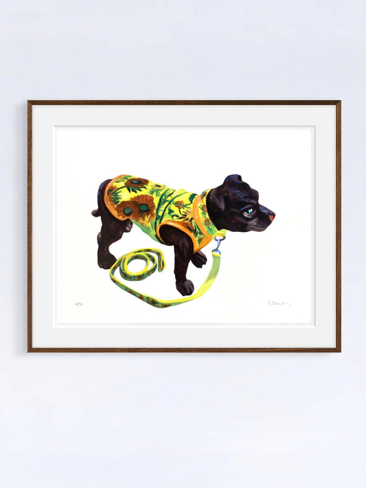 Vincents Dog I