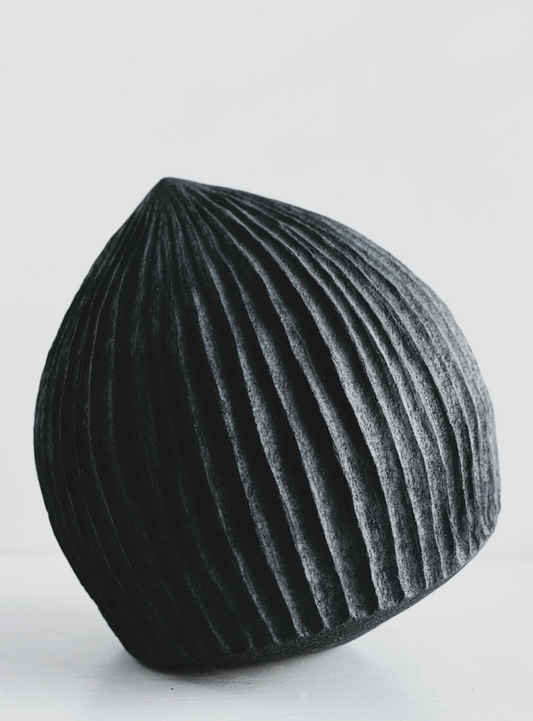 Everything has a beginning